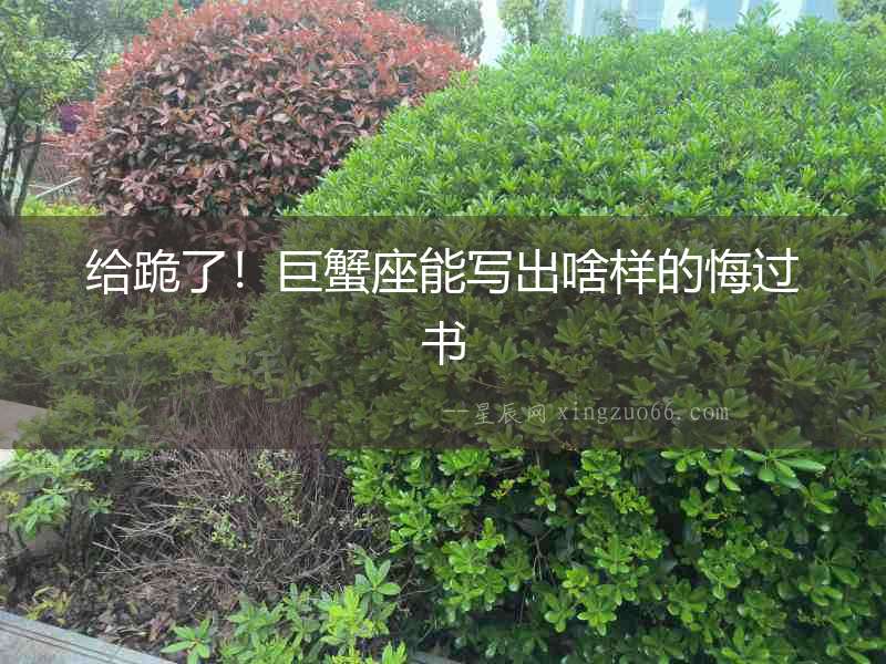 給跪了！巨蟹座能寫出啥樣的悔過書