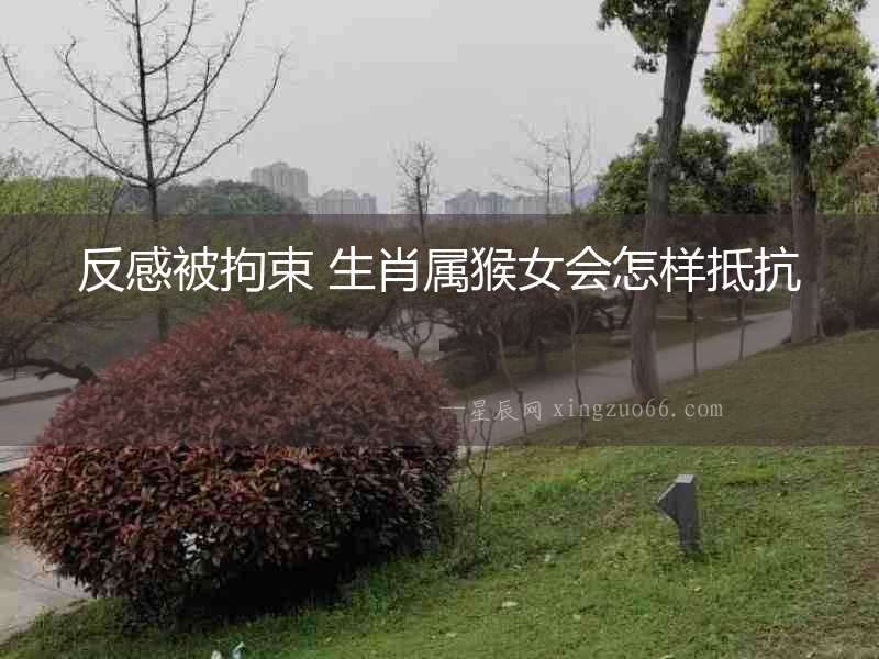 反感被拘束 生肖屬猴女會怎樣抵抗