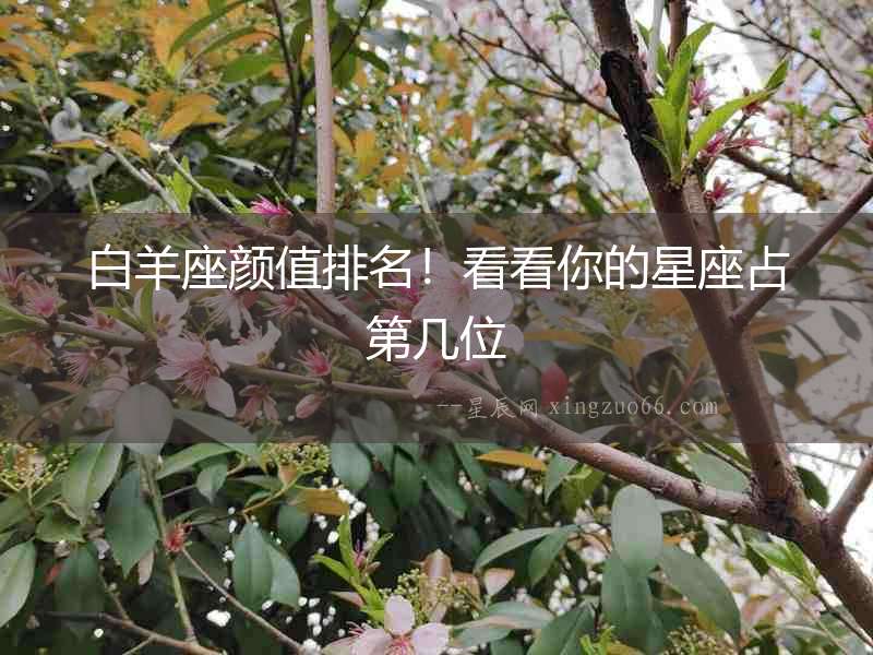 白羊座顏值排名！看看你的星座占第幾位