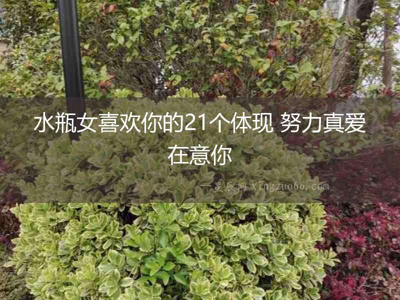 水瓶女喜歡你的21個體現 努力真愛在意你