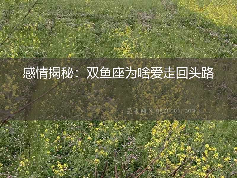 感情揭秘：雙魚座為啥愛走回頭路