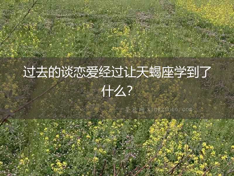 過去的談戀愛經過讓天蝎座學到了什么？