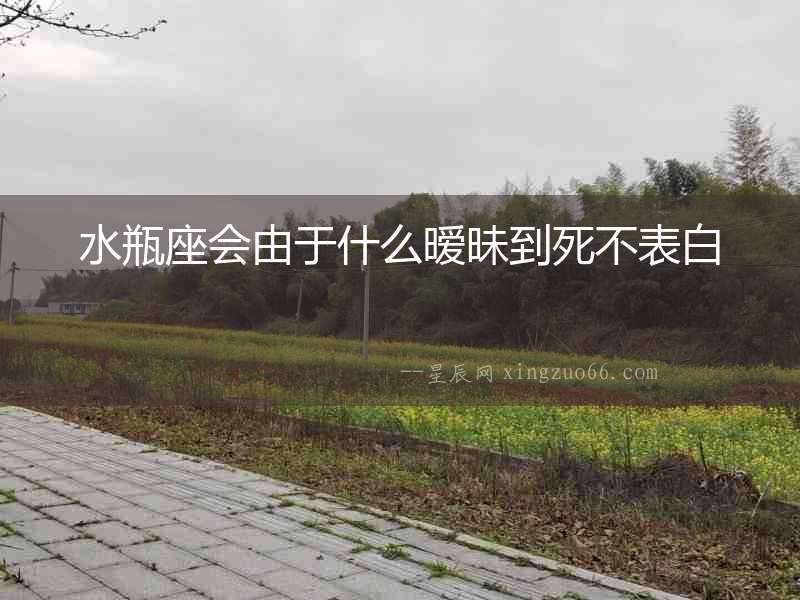 水瓶座會由于什么曖昧到死不表白