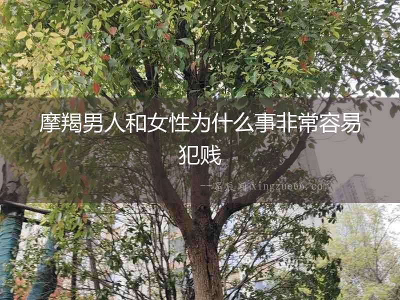 摩羯男人和女性為什么事非常容易犯賤