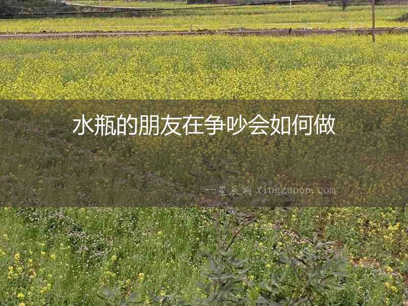 水瓶的朋友在爭吵會如何做