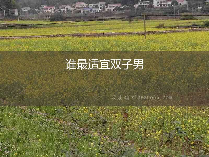 誰最適宜雙子男