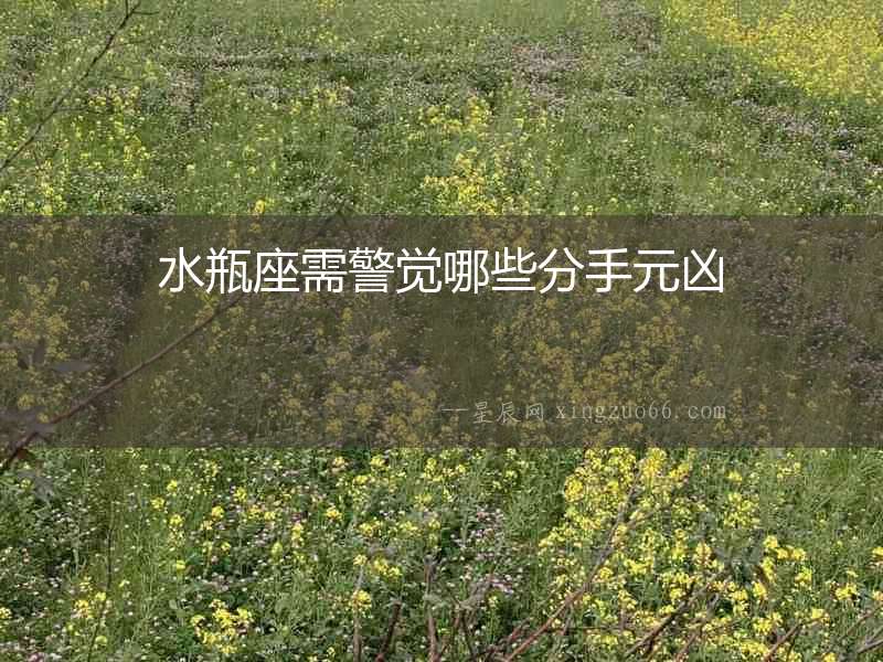 水瓶座需警覺哪些分手元兇