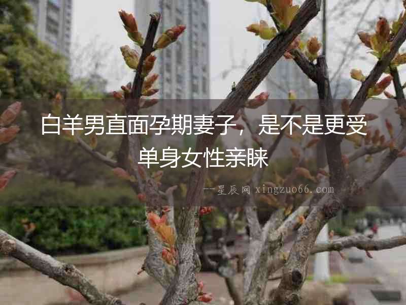 白羊男直面孕期妻子，是不是更受單身女性親睞