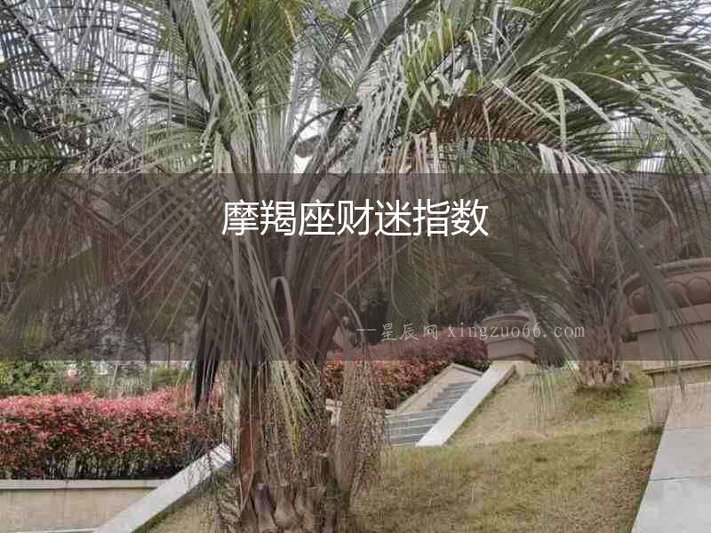 摩羯座財迷指數