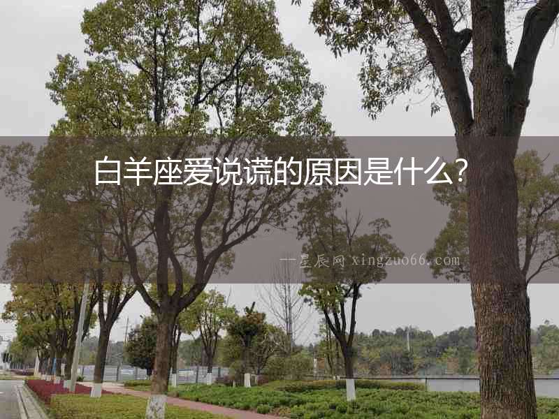 白羊座愛(ài)說(shuō)謊的原因是什么？