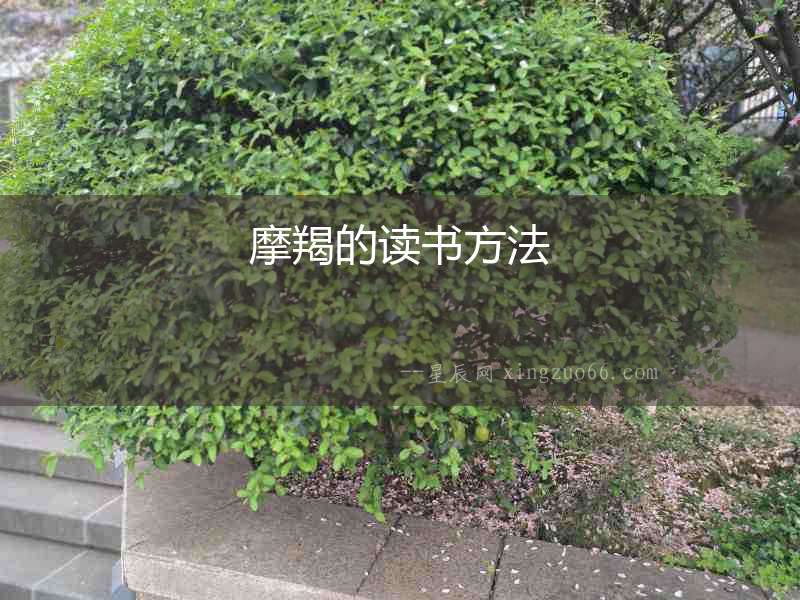 摩羯的讀書方法