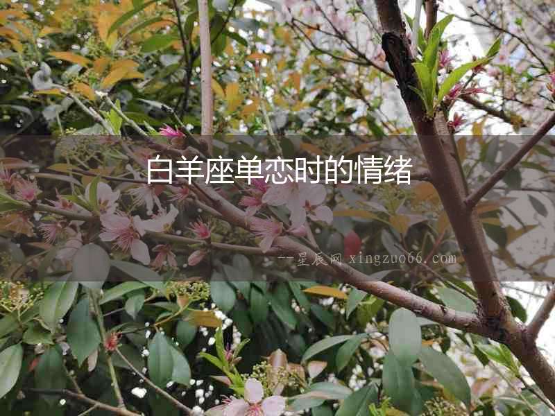白羊座單戀時的情緒