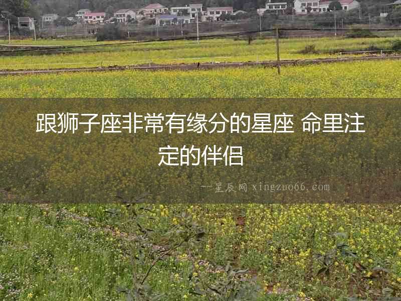 跟獅子座非常有緣分的星座 命里注定的伴侶