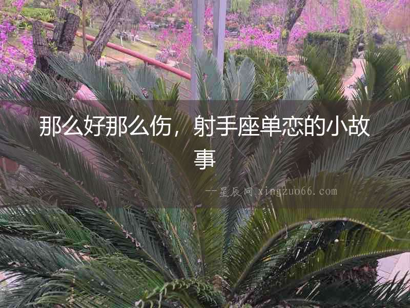 那么好那么傷，射手座單戀的小故事