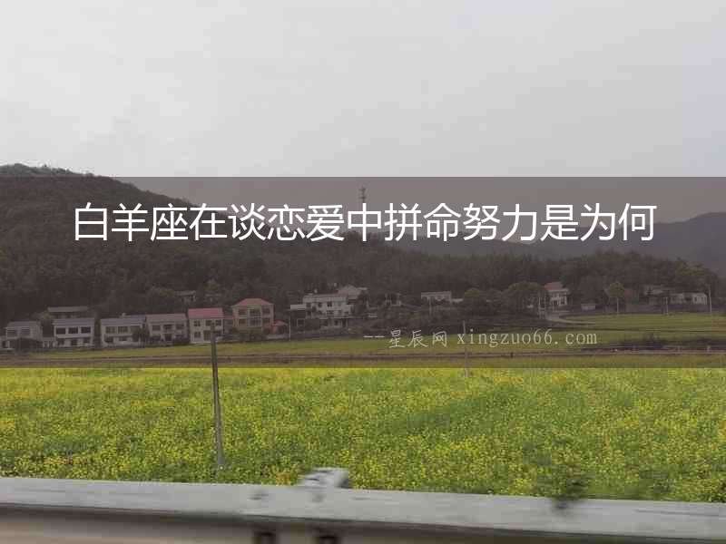 白羊座在談戀愛中拼命努力是為何