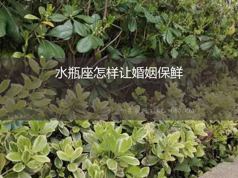 水瓶座怎樣讓婚姻保鮮