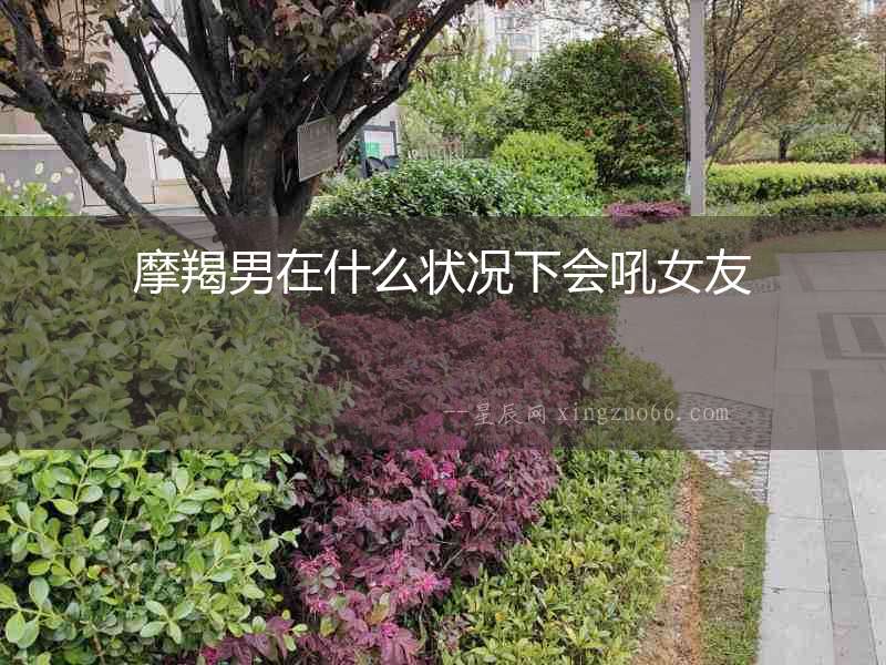 摩羯男在什么狀況下會吼女友