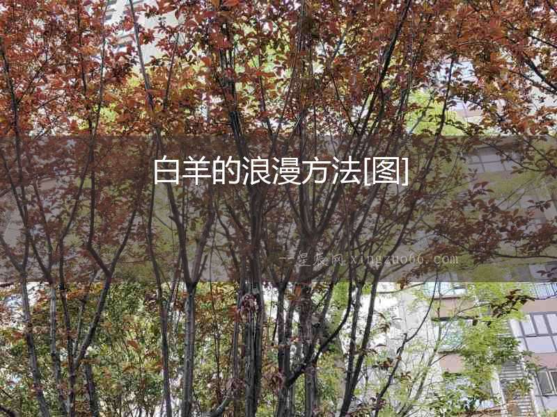 白羊的浪漫方法[圖]