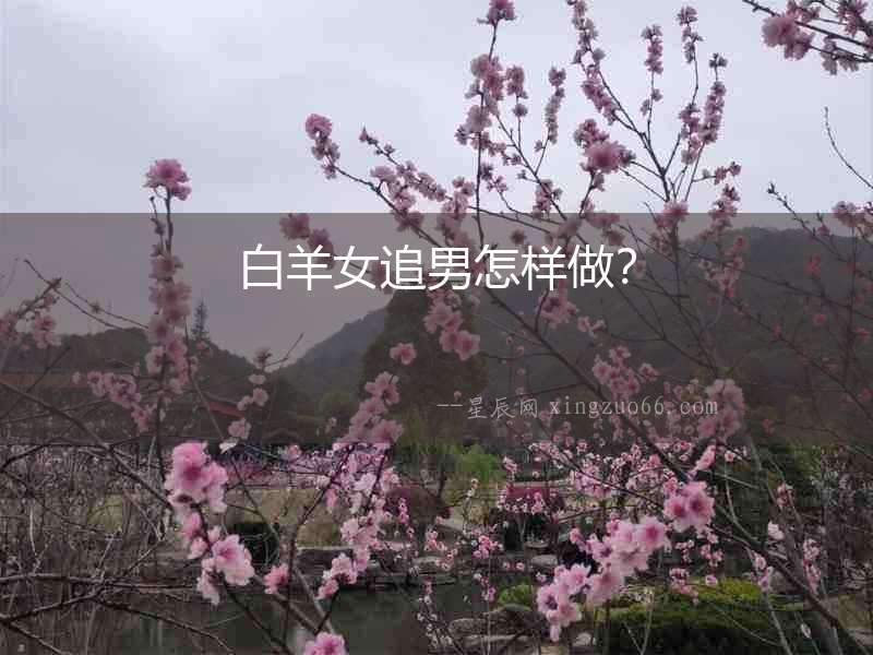 白羊女追男怎樣做？