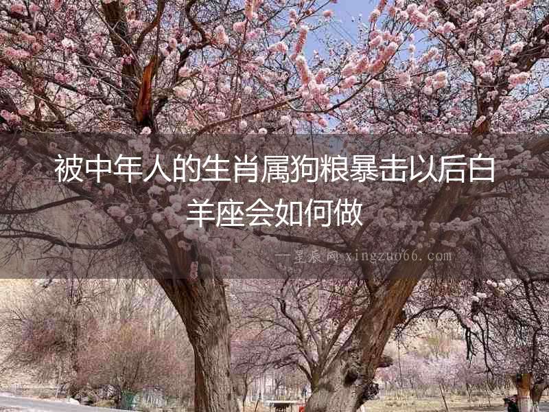 被中年人的生肖屬狗糧暴擊以后白羊座會如何做
