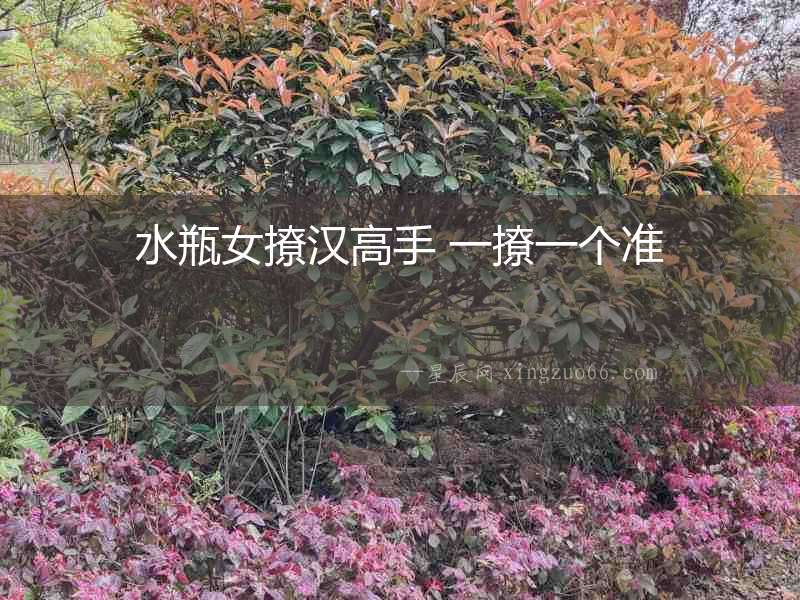 水瓶女撩漢高手 一撩一個(gè)準(zhǔn)