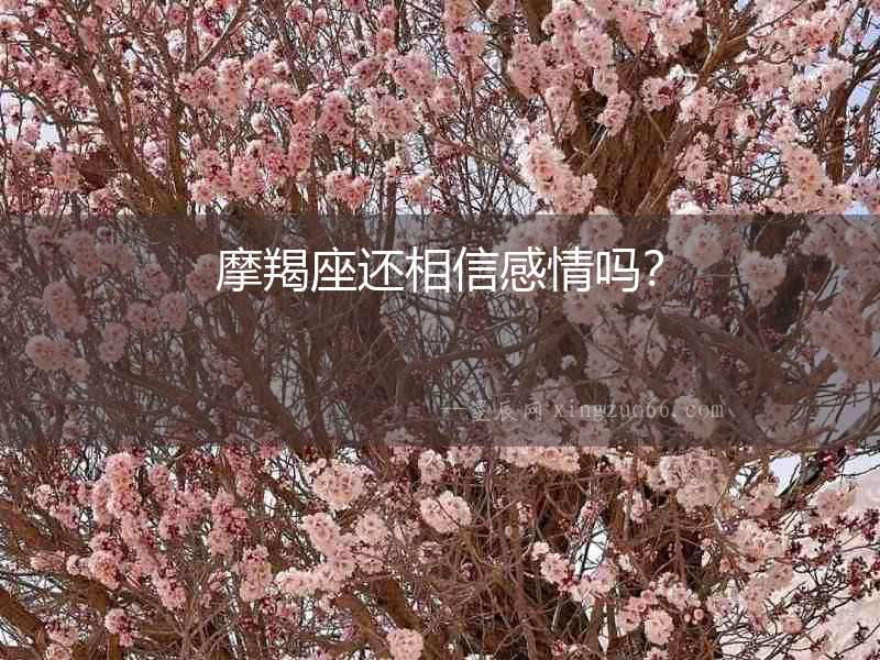 摩羯座還相信感情嗎？