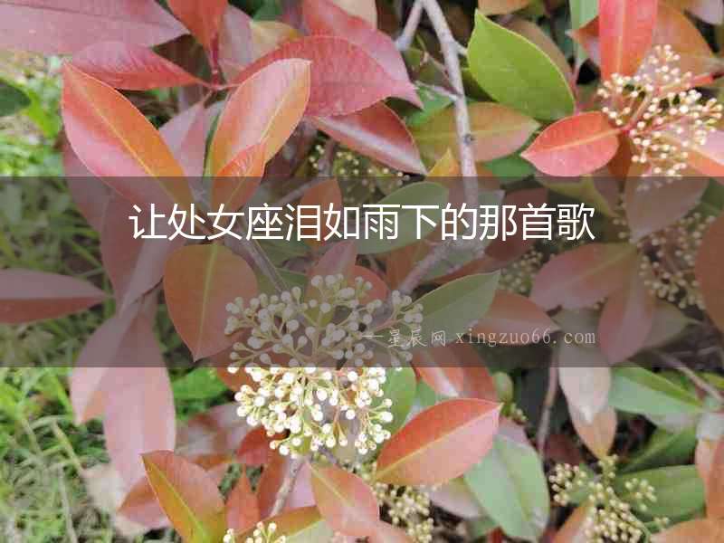 讓處女座淚如雨下的那首歌