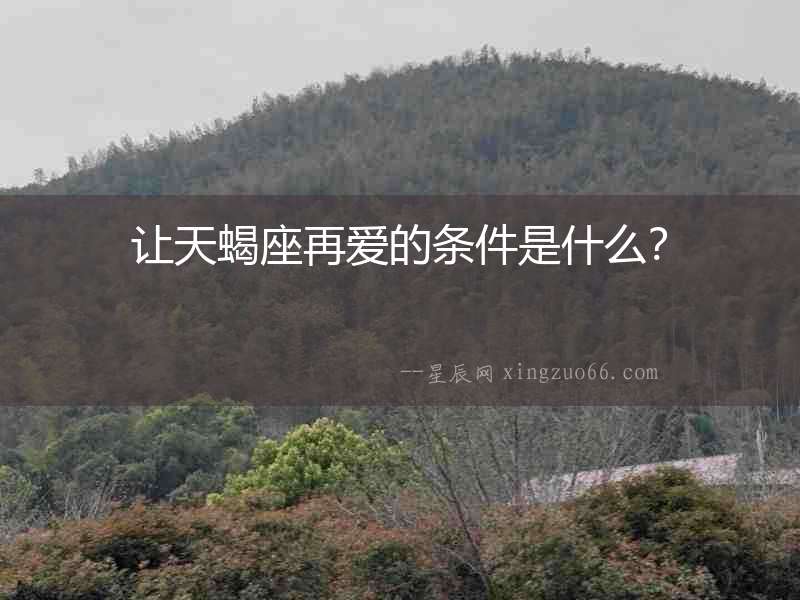 讓天蝎座再愛的條件是什么？
