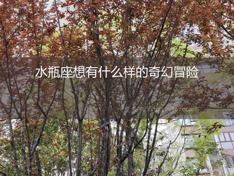 水瓶座想有什么樣的奇幻冒險