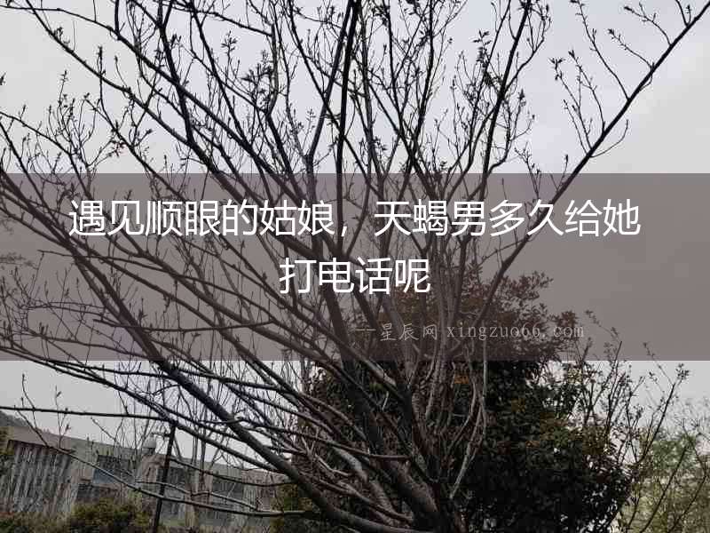 遇見順眼的姑娘，天蝎男多久給她打電話呢