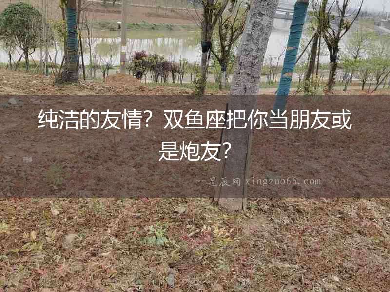 純潔的友情？雙魚座把你當(dāng)朋友或是炮友？