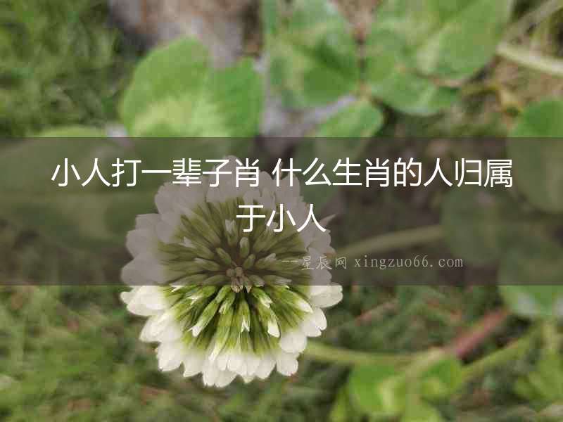 小人打一輩子肖 什么生肖的人歸屬于小人
