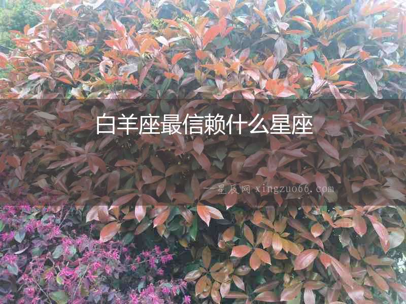 白羊座最信賴什么星座