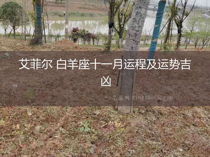 艾菲爾 白羊座十一月運程及運勢吉兇