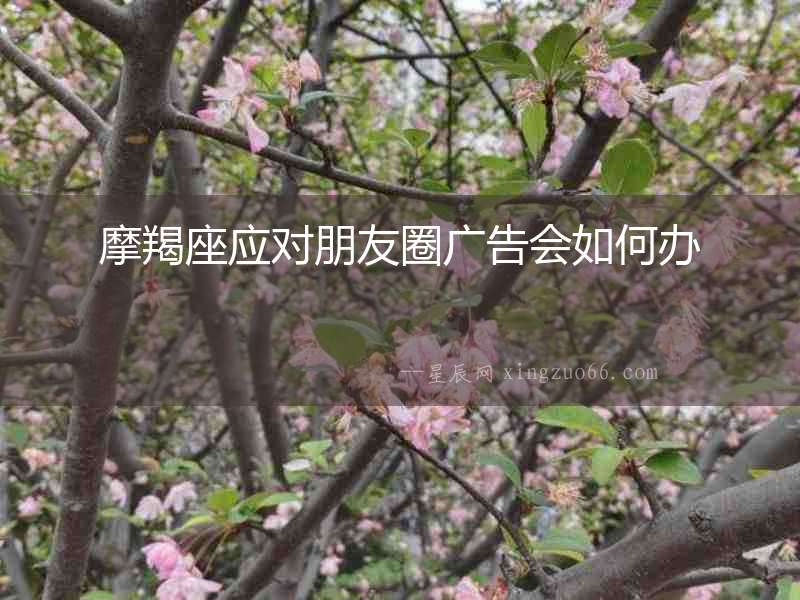 摩羯座應對朋友圈廣告會如何辦