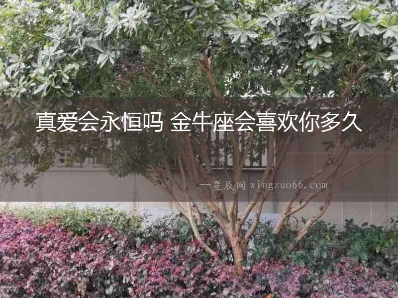 真愛會永恒嗎 金牛座會喜歡你多久