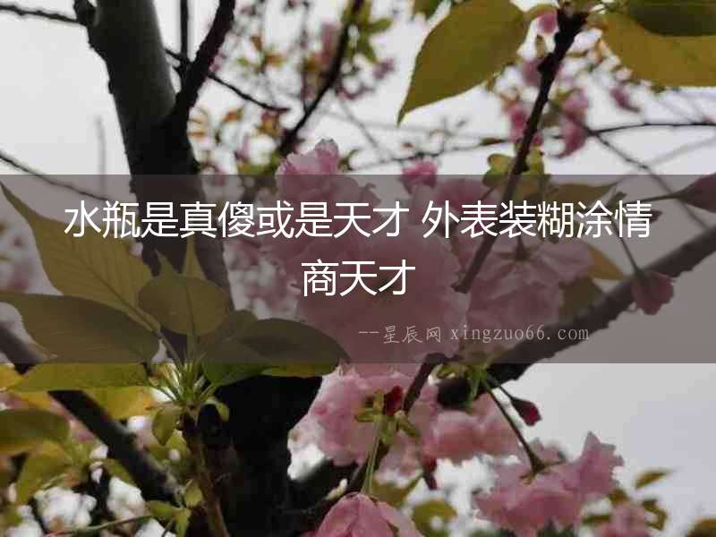 水瓶是真傻或是天才 外表裝糊涂情商天才