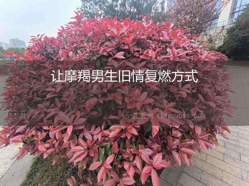 讓摩羯男生舊情復燃方式