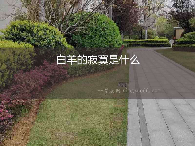 白羊的寂寞是什么