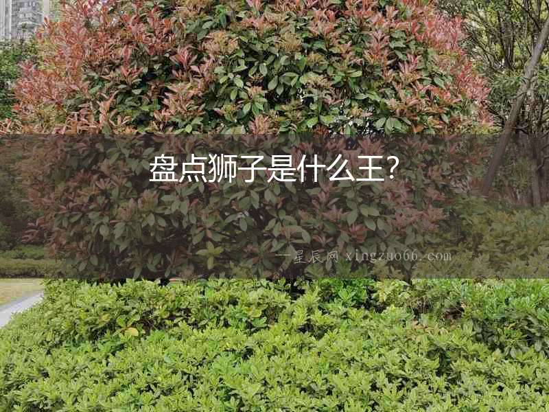 盤點獅子是什么王？