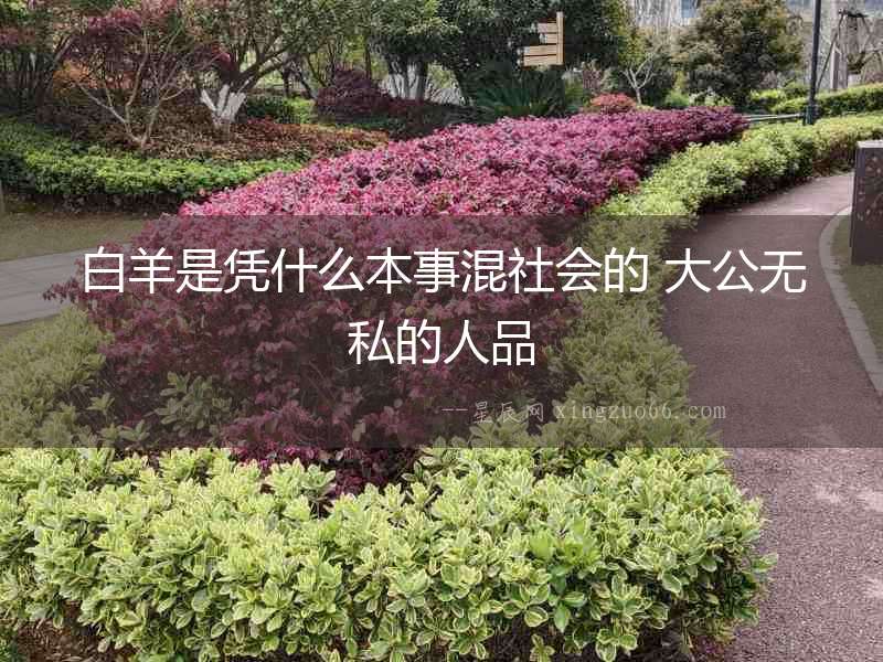 白羊是憑什么本事混社會的 大公無私的人品