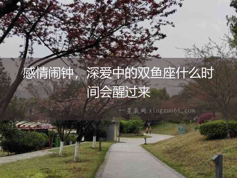 感情鬧鐘，深愛中的雙魚座什么時間會醒過來