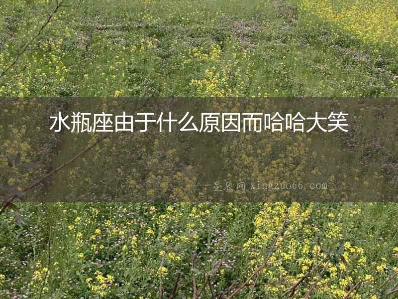 水瓶座由于什么原因而哈哈大笑