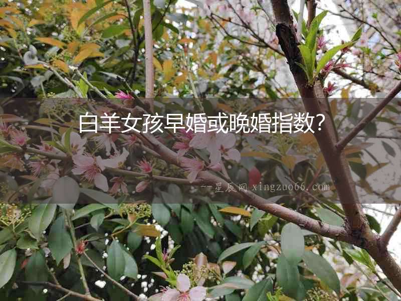 白羊女孩早婚或晚婚指數？