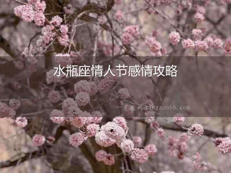 水瓶座情人節感情攻略