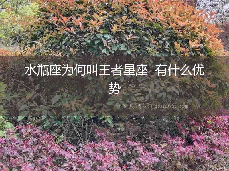 水瓶座為何叫王者星座  有什么優勢