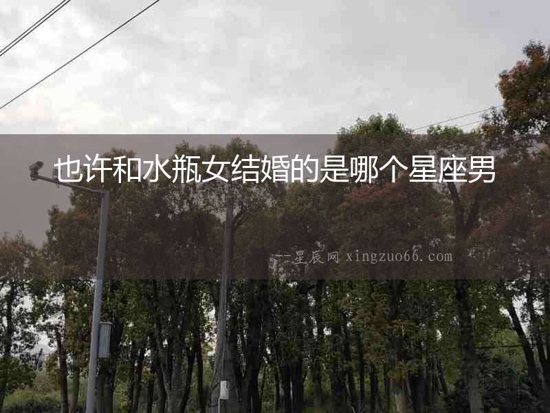 也許和水瓶女結婚的是哪個星座男