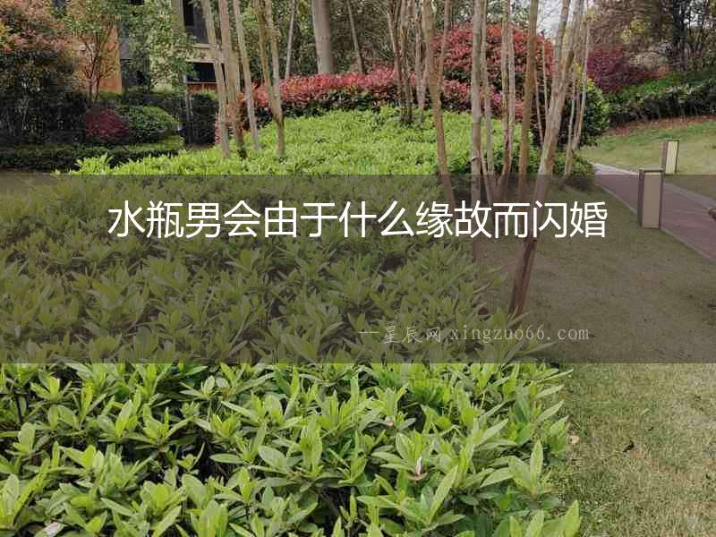 水瓶男會由于什么緣故而閃婚