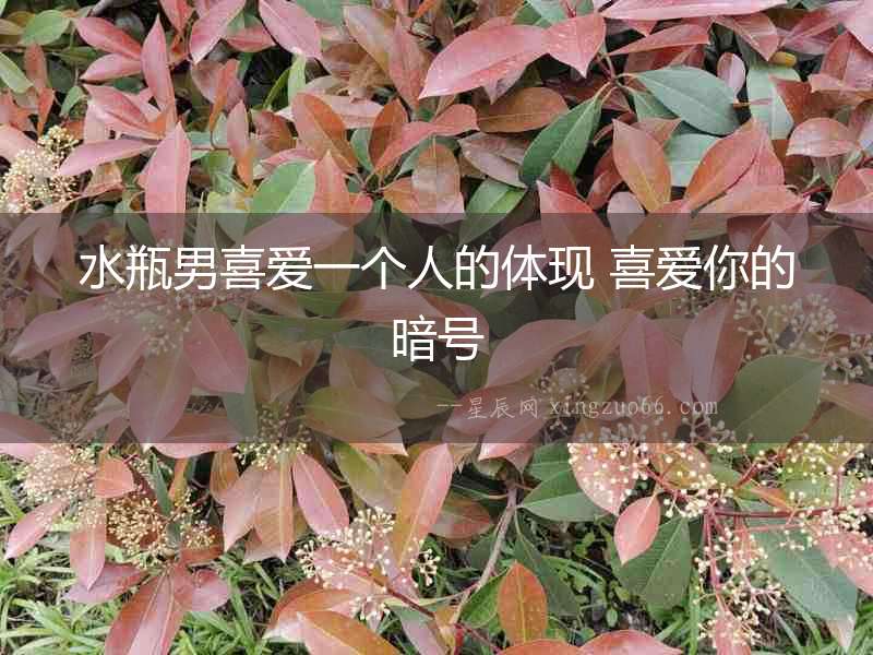水瓶男喜愛一個人的體現 喜愛你的暗號