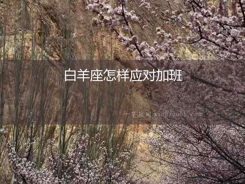 白羊座怎樣應(yīng)對(duì)加班